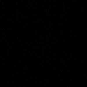 Meet your Posher, Angeli